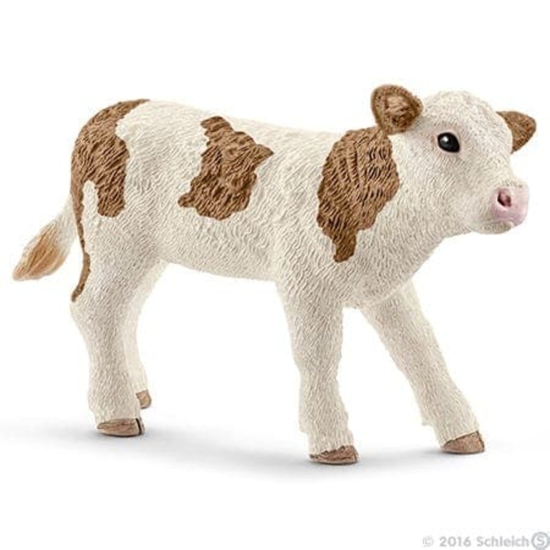 Simmental Calf