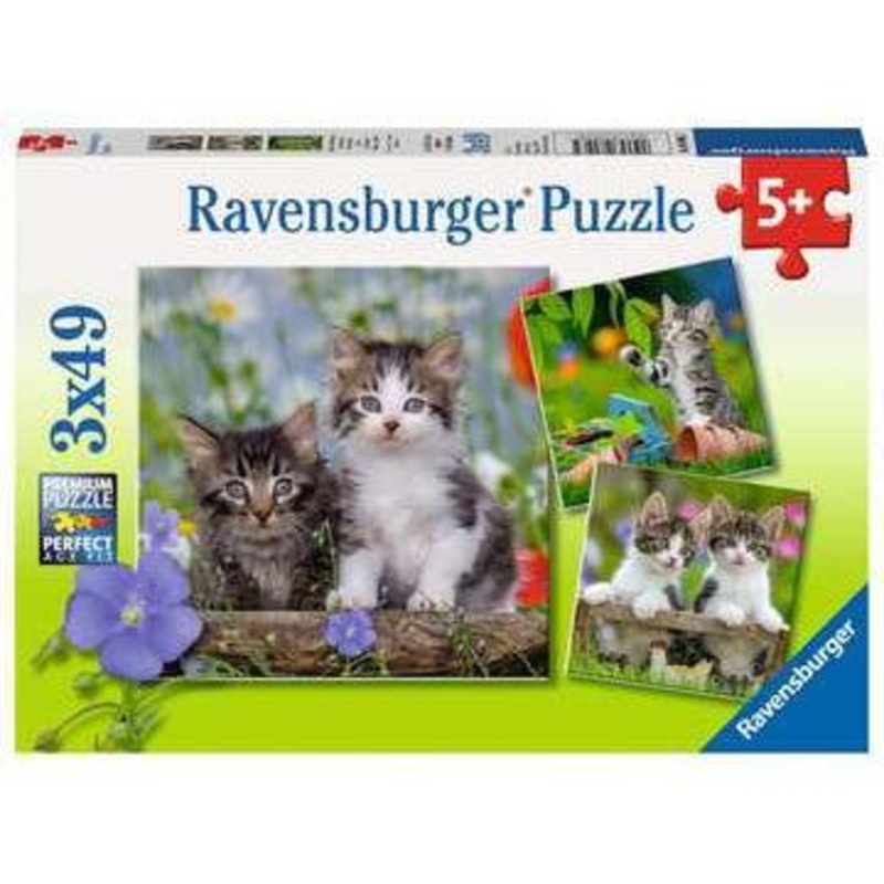Kittens – 3×49 Piece Puzzle