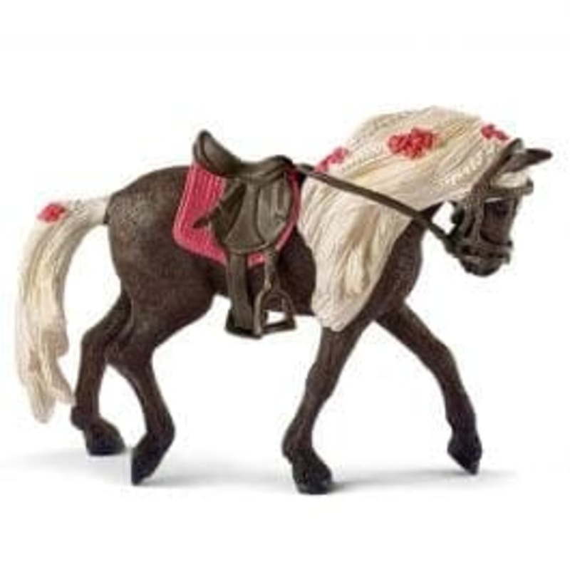Rocky Mountain Horse Mare