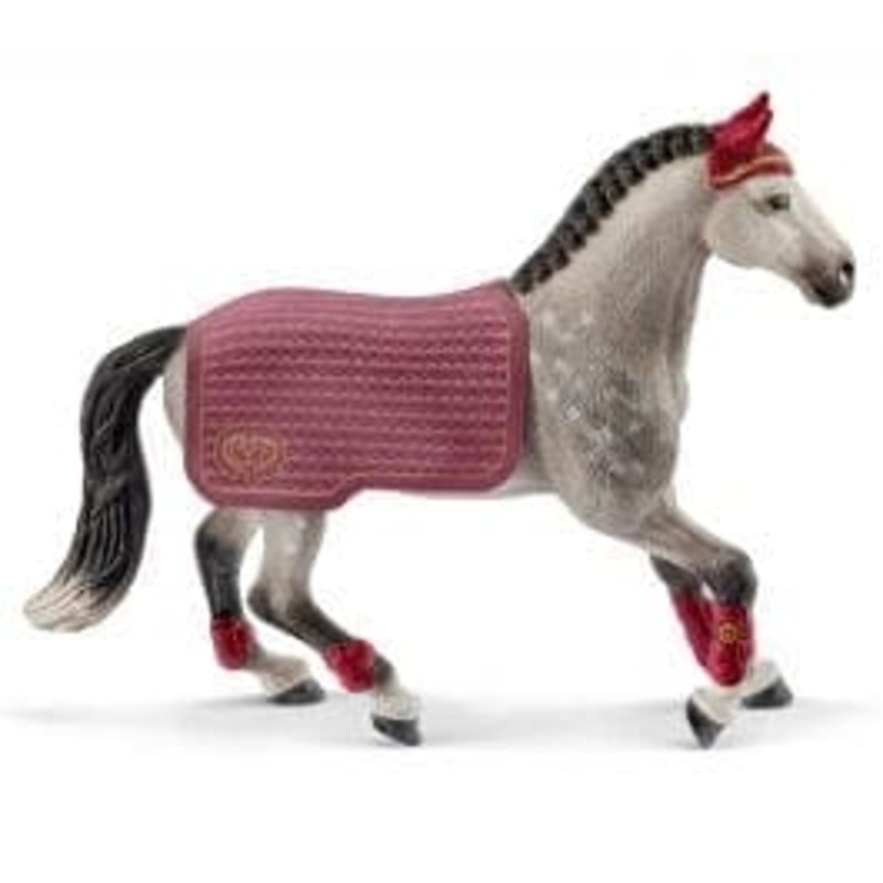 Trakehner Mare Riding Tournament