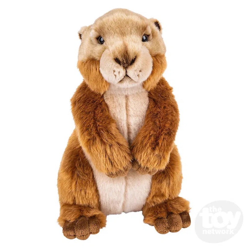 10 Heirloom Prairie Dog