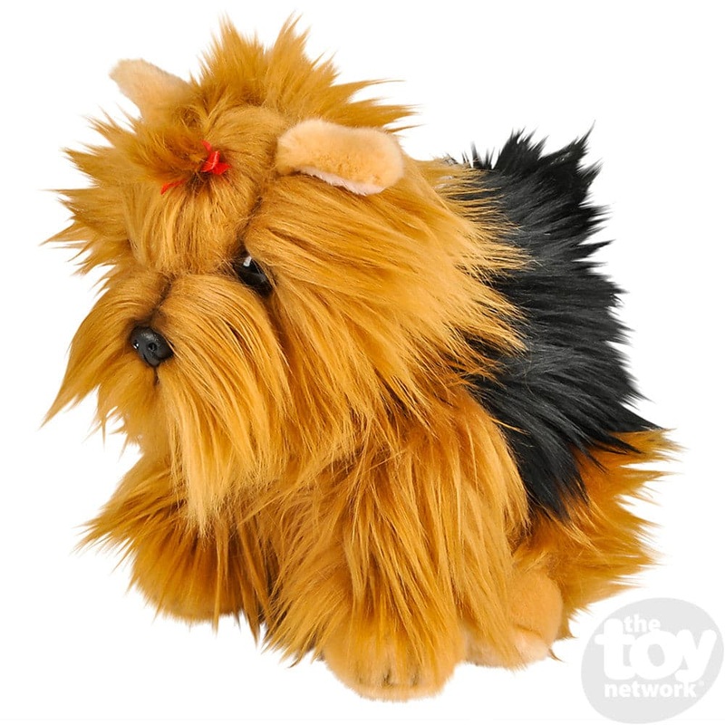 12 Heirloom Floppy Yorkshire Terrier Dog