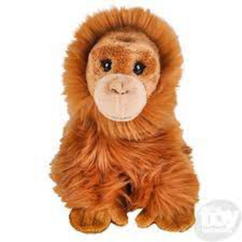 7 Heirloom Buttersoft Orangutan