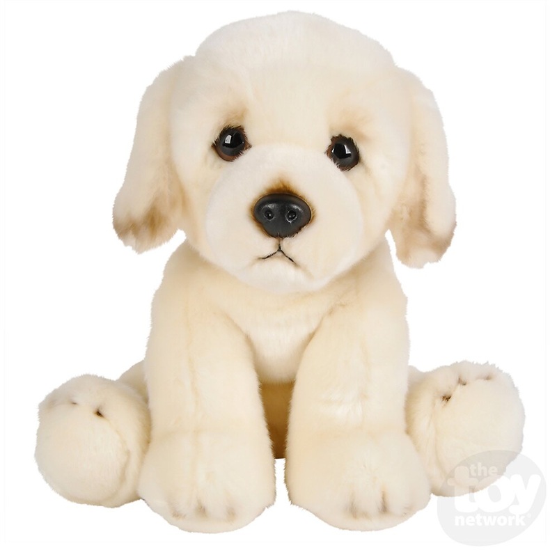 12 Heirloom Floppy Golden Retriever Dog
