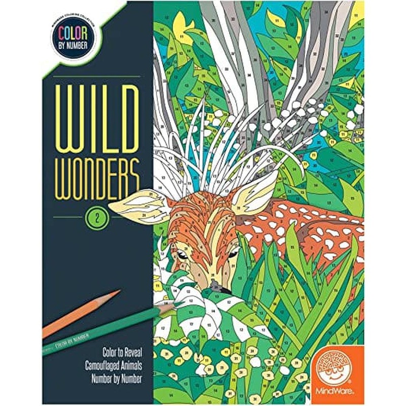 Color By Number – Wild Wonders – Book 2
