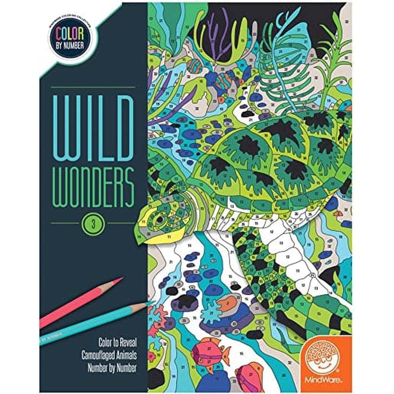 Color By Number – Wild Wonders – Book 3