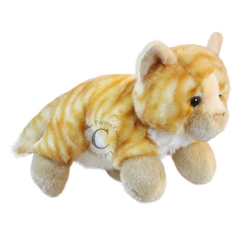 Full Bodied Puppet – Cat