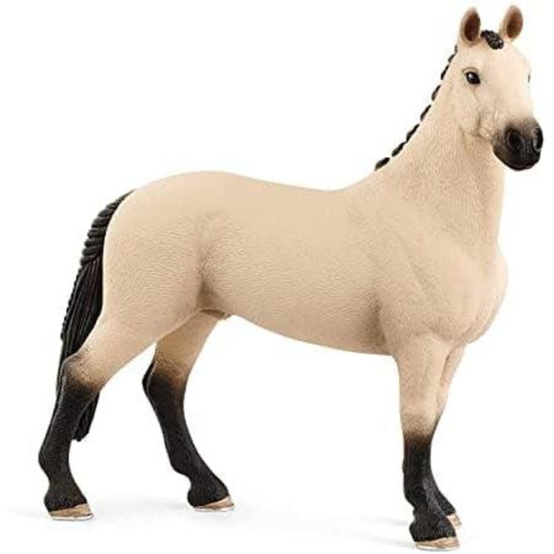 Hannoverian Gelding, Red Dun
