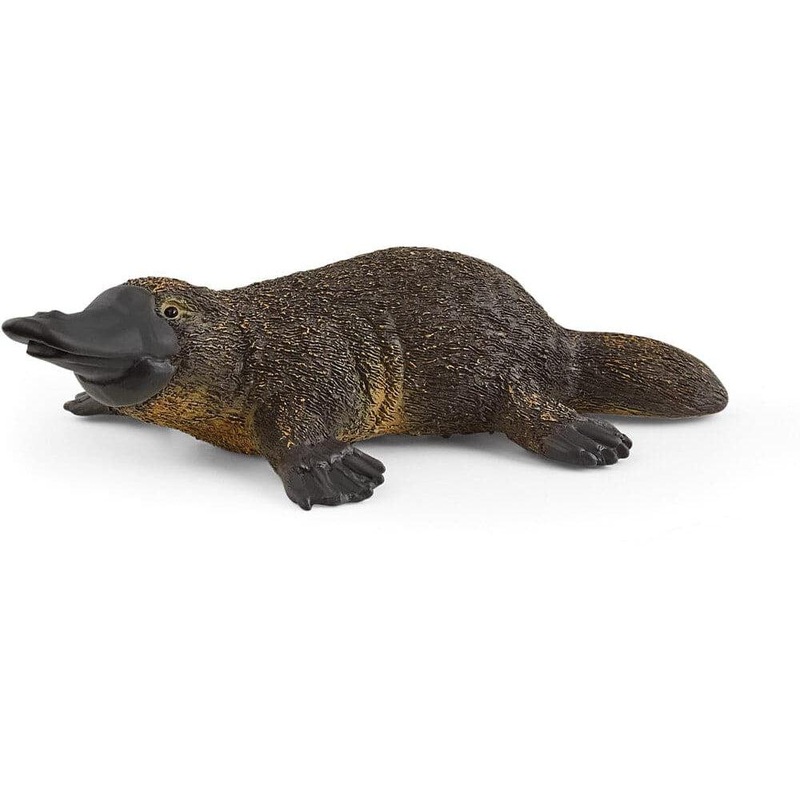Platypus