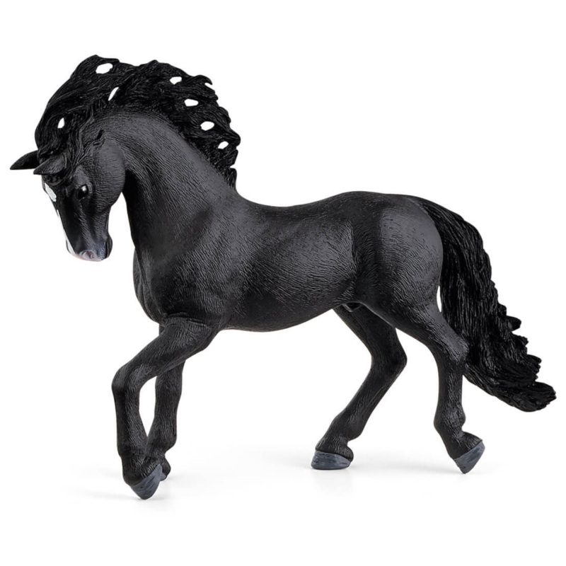 Pura Raza Espanola Stallion