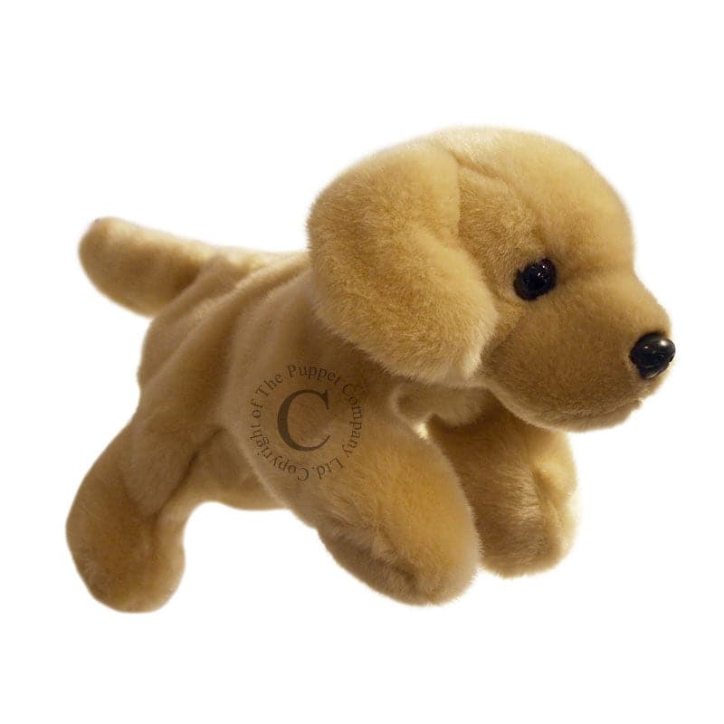Full Bodied Puppet – Labrador – Yellow