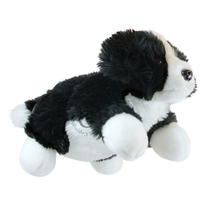 Full Bodied Puppets – Border Collie
