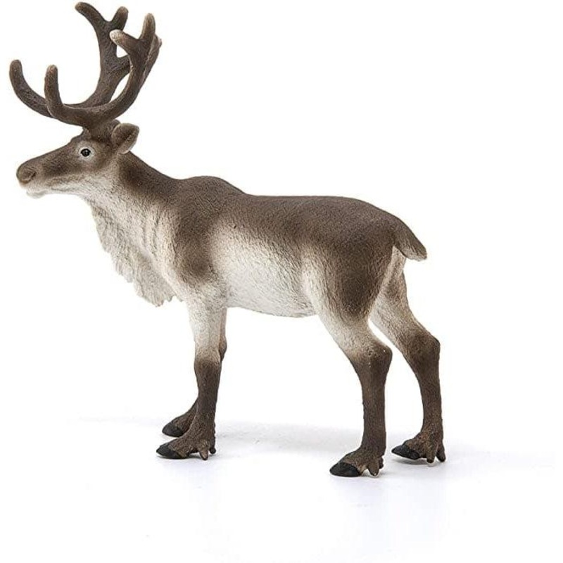 Reindeer