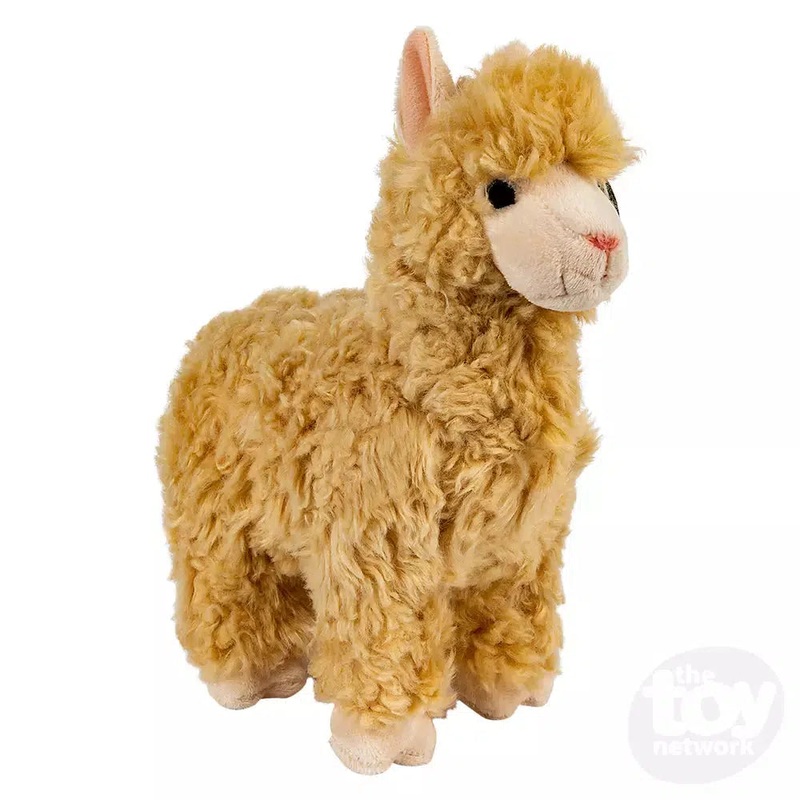 10 Heirloom Alpaca