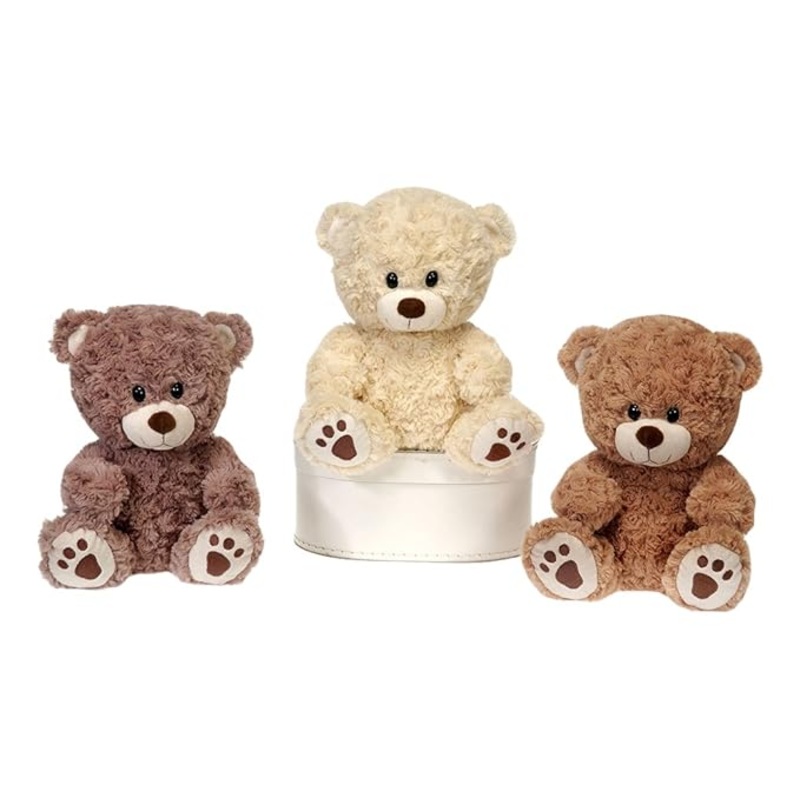 9.5 Sitting Paw Print Bears Assorted Styles