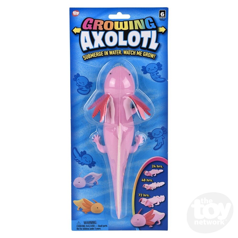 9 Growing Axolotl