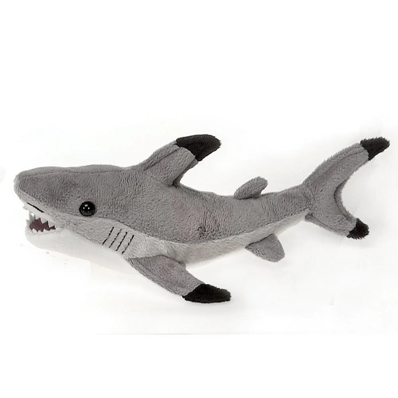 12 Gray Shark