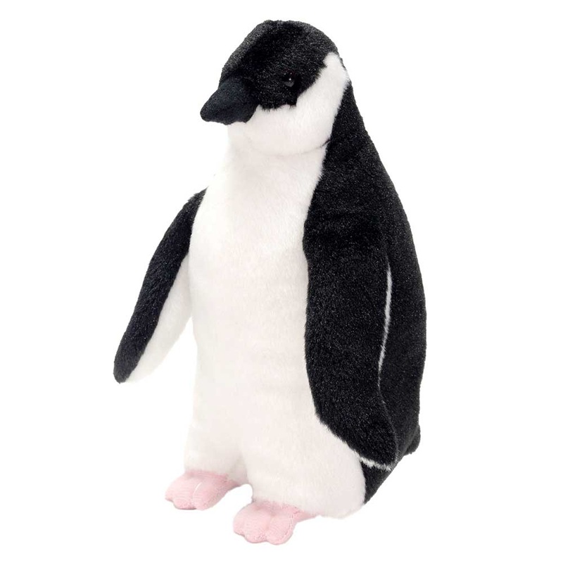 8 Penguin