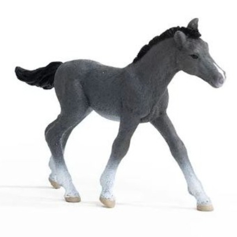 Trakehner Foal