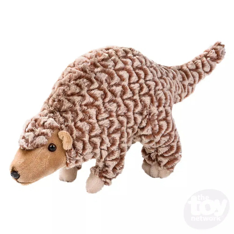 12 Heirloom Floppy Pangolin