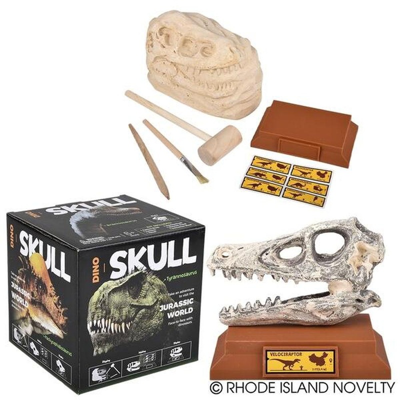 6.5 Dinosaur Skull Excavation Dig Kit Velociraptor