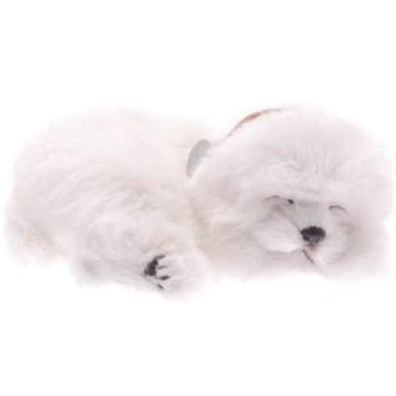 Perfect Petzzz Maltese