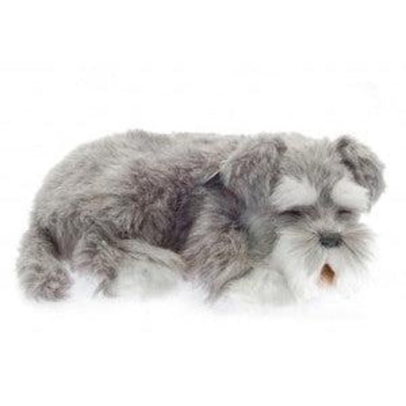 Perfect Petzzz Schnauzer