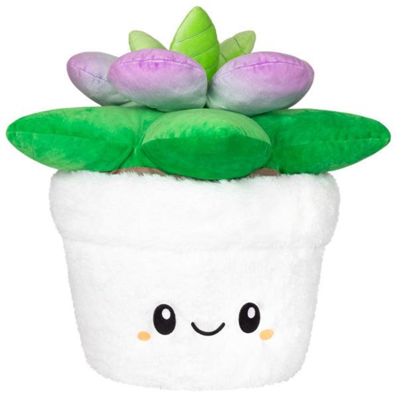 Squishables – 15 Succulent