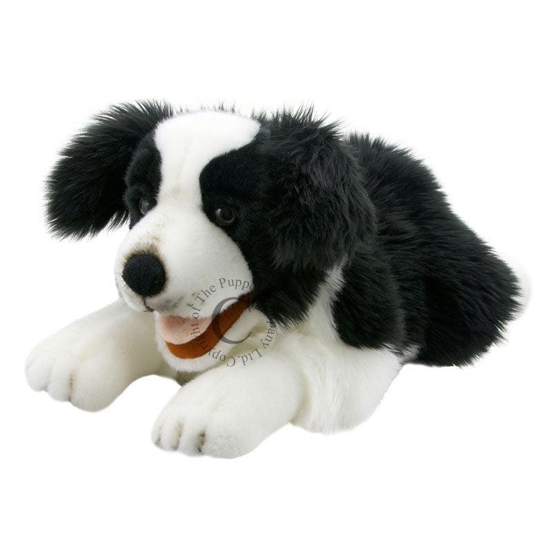 Full Bodied Puppet – Playful Puppy Border Collie