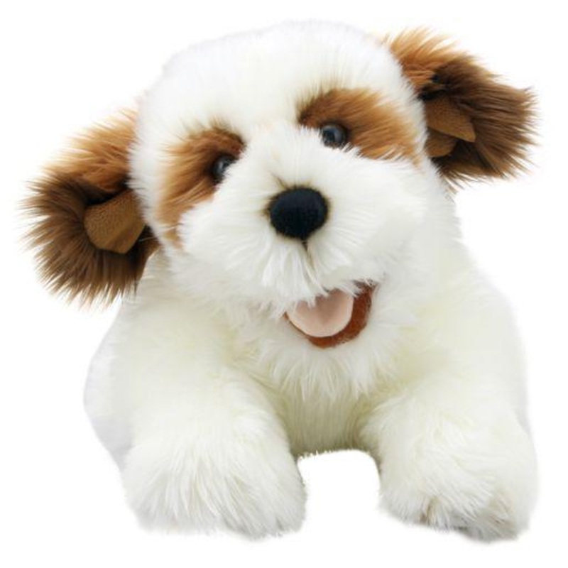 Playful Puppy – Brown & White
