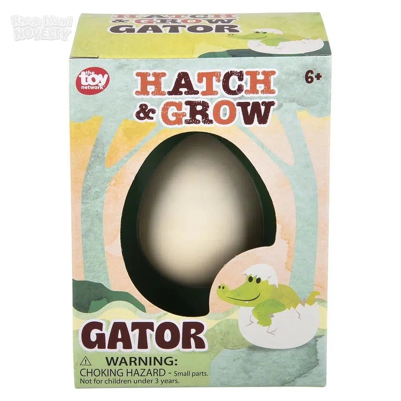 Small Hatch And Grow Gator Egg