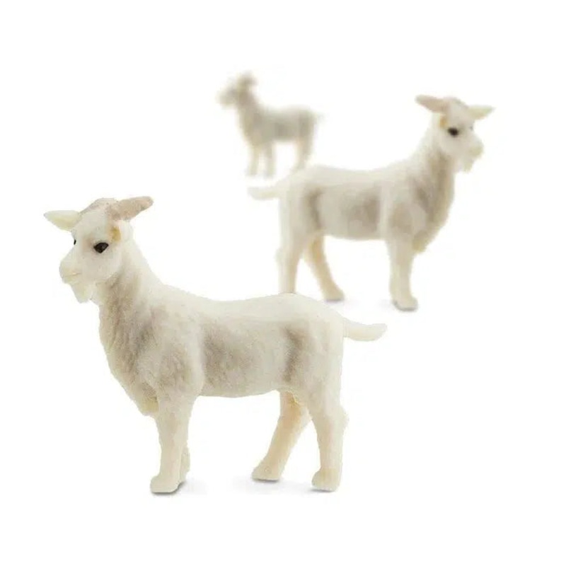 Good Luck Minis Goats