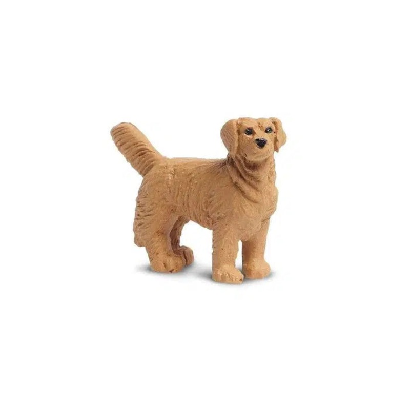 Good Luck Minis Golden Retrievers