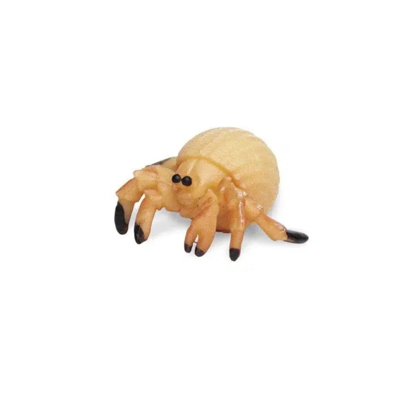 Good Luck Minis Hermit Crabs