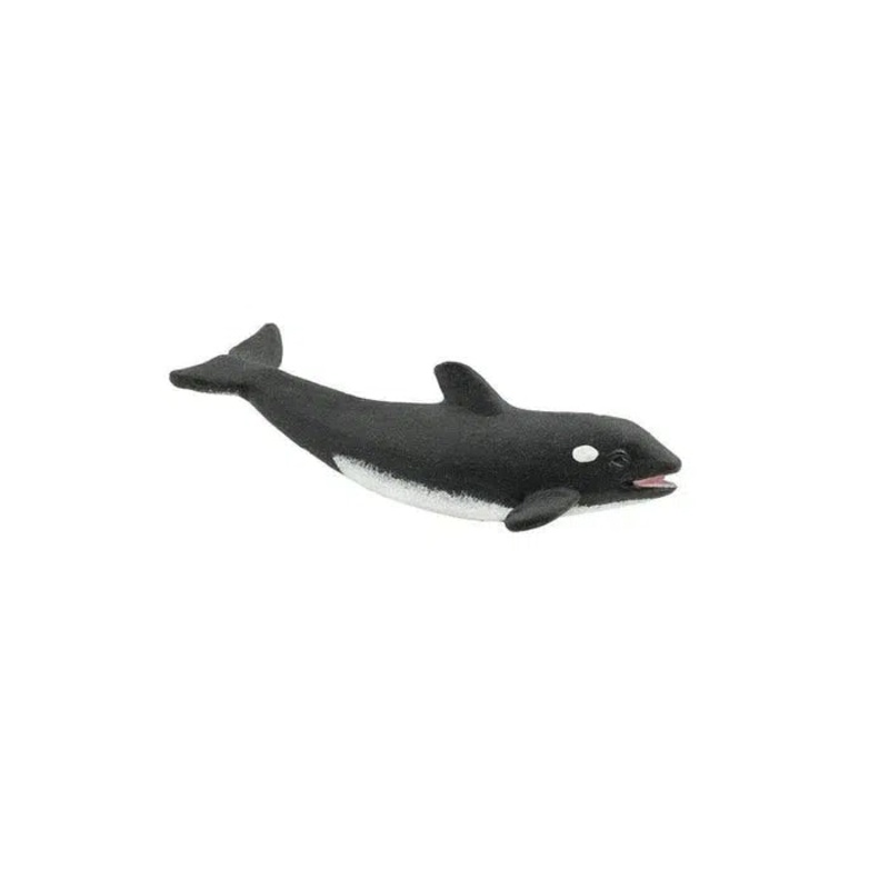 Good Luck Minis Killer Whales