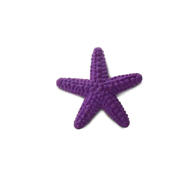 Good Luck Minis Starfish