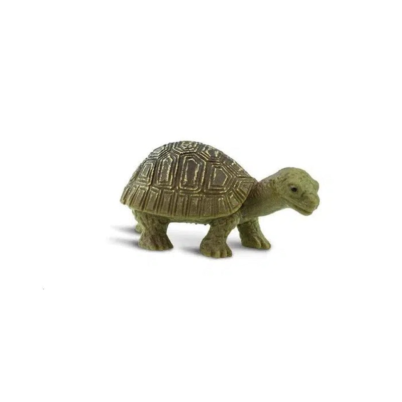 Good Luck Minis Tortoises