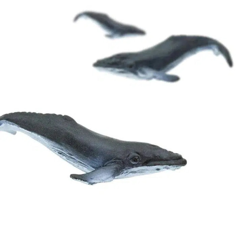 Good Luck Minis Humpback Whales