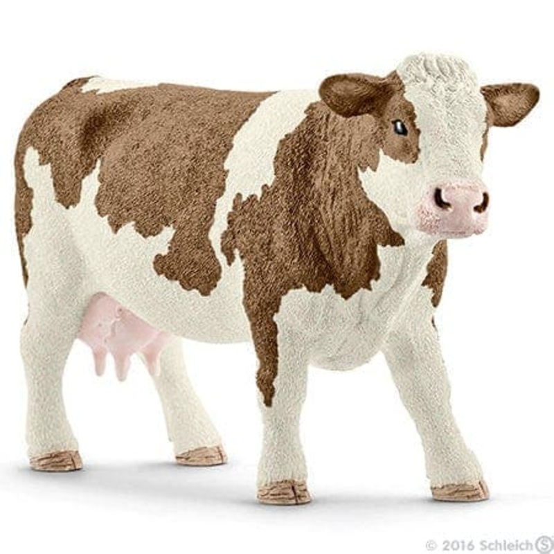 Simmental Cow