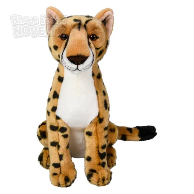 15 Heirloom Cheetah
