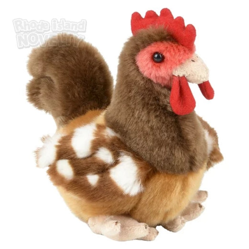 6 Heirloom Treasure Rooster