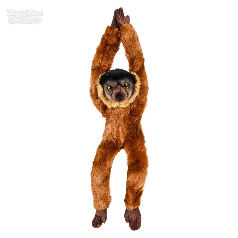 18 Heirloom Hanging Collared Lemur