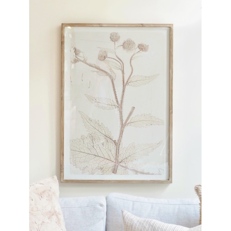 Framed Dandelions Art Print | 27.5×39