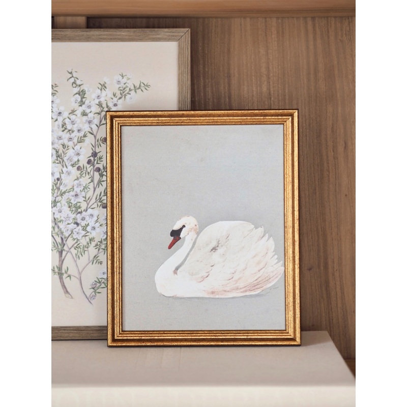 Blue Swan Framed Canvas Print | 8×10