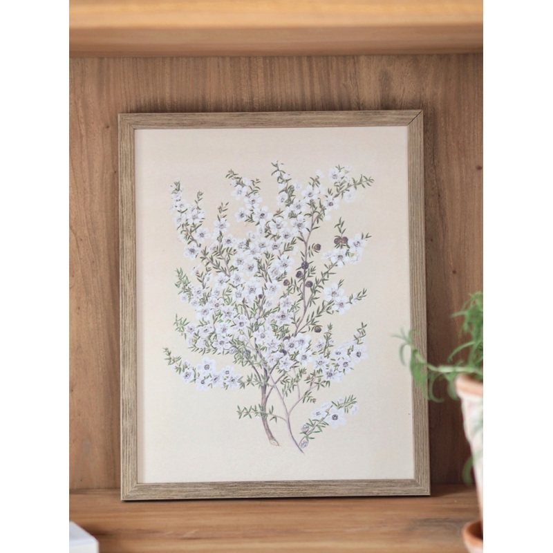 Botanical Manuka Framed Canvas Print | 11×14
