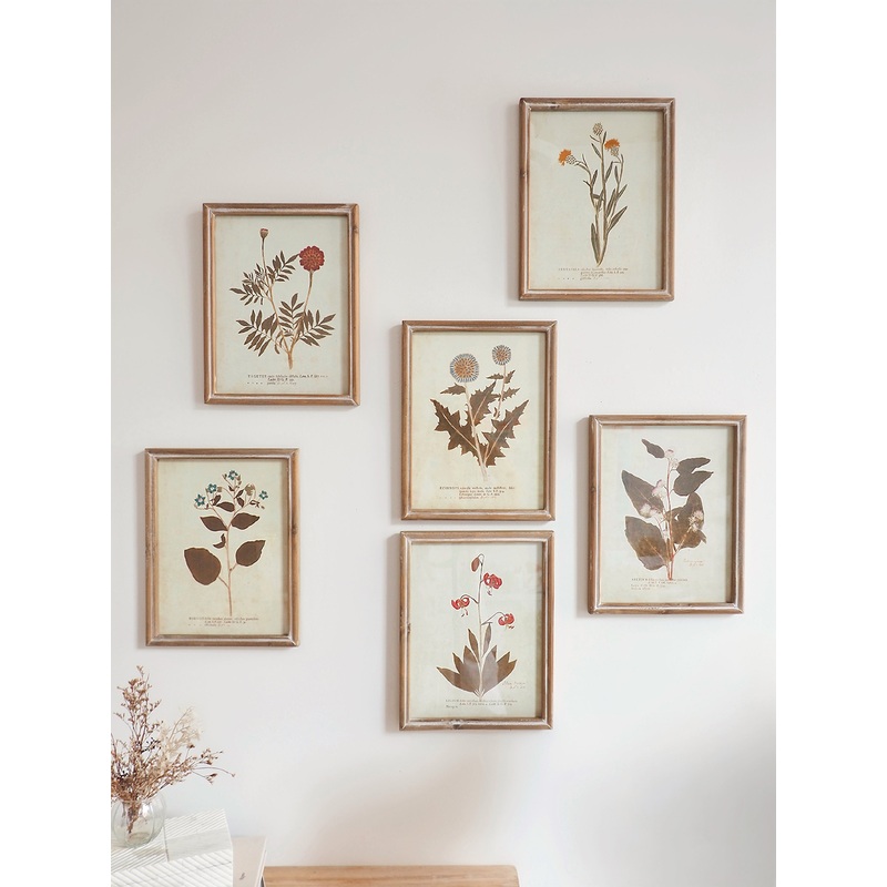 Botanicals Framed Prints | 10 x 13