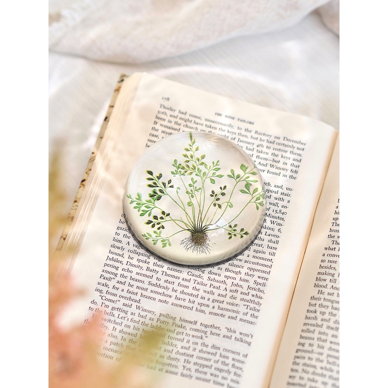 Buta-muraria Dome Paperweight