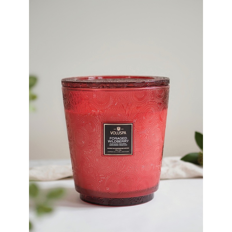 Foraged Wildberry Hearth 5 wick Candle