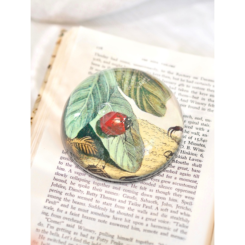 Ladybug (on a Leaf) Dome Paperweight