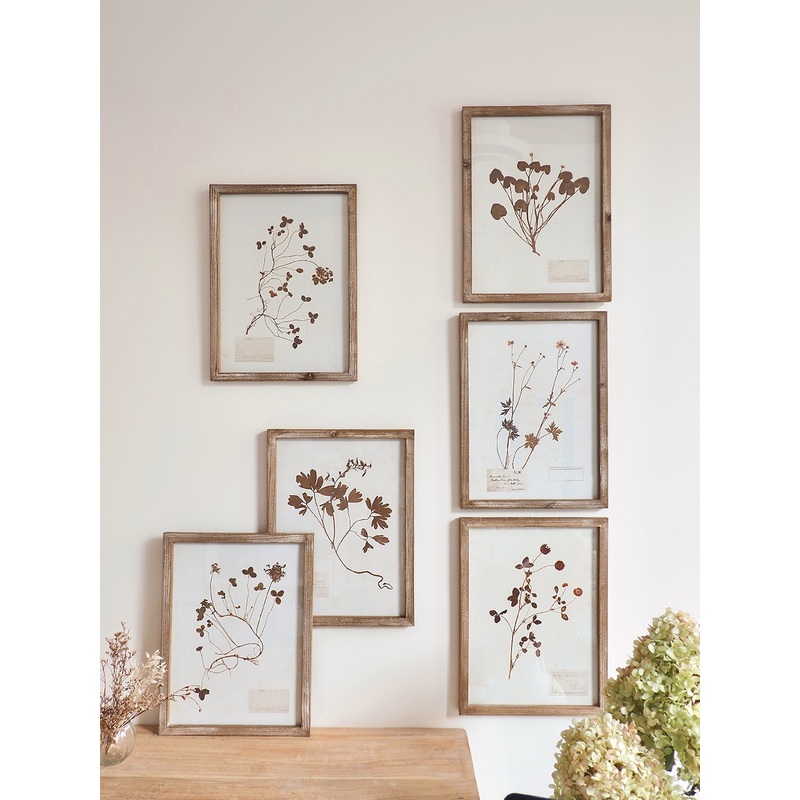 Pressed Foliage Framed Prints | 11.75 x 15.75